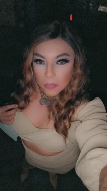 8314017833, transgender escort, Santa Cruz